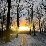 Апартаменты Semoia *